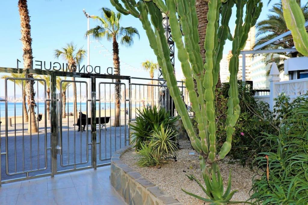 Luxurious 2-Bedroom Apt With Stunning Views, 1St Line On Levante Beach, Benidorm Ngoại thất bức ảnh
